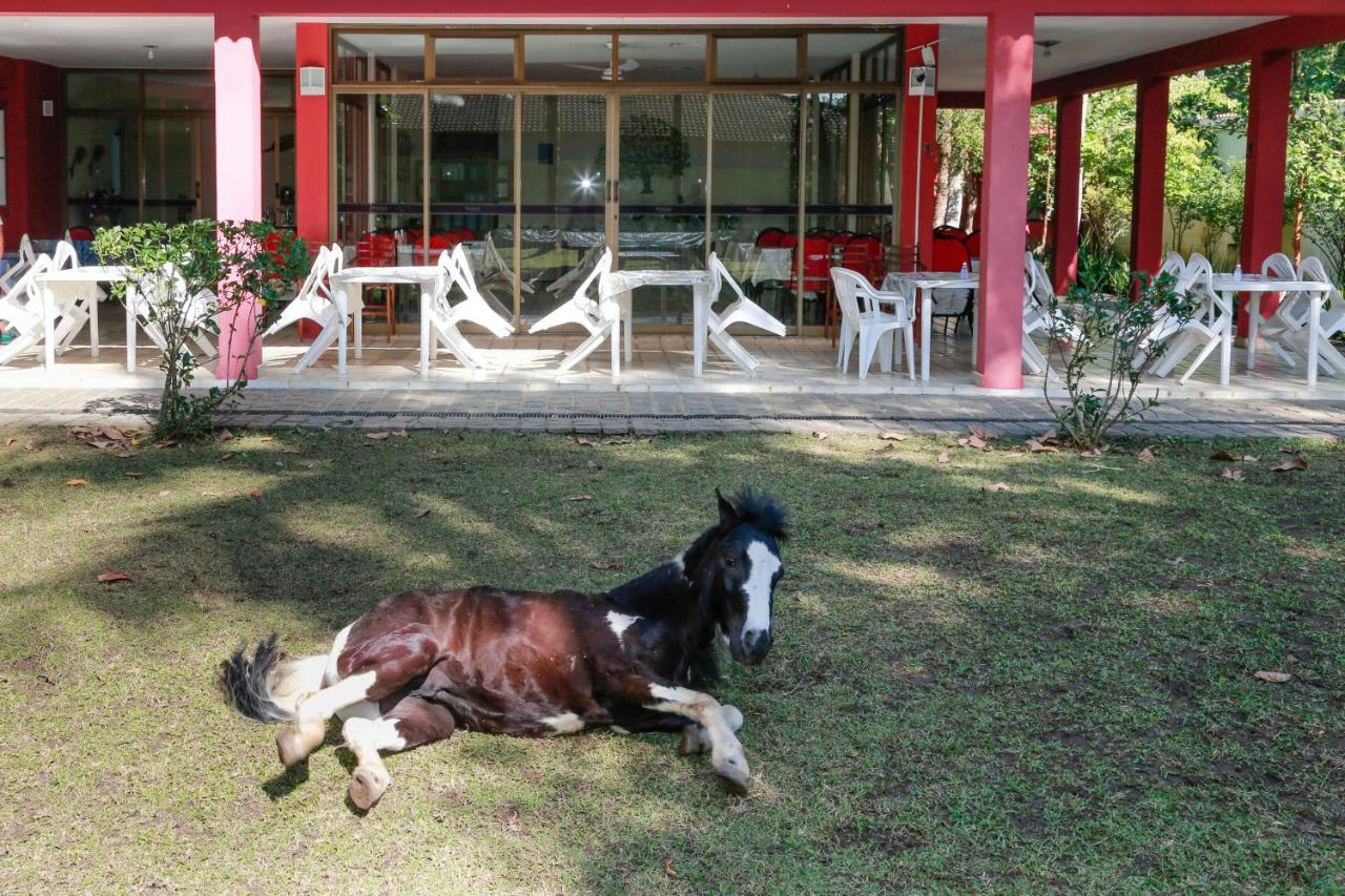 Indaia Praia Hotel Bertioga Εξωτερικό φωτογραφία